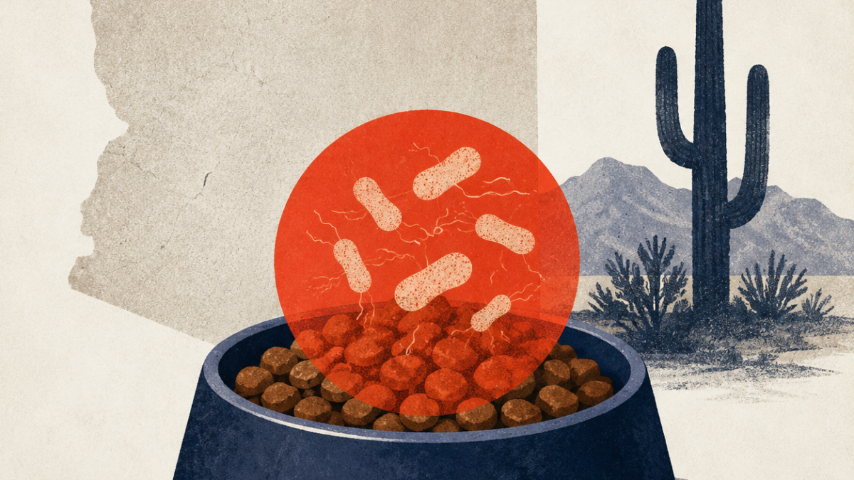 Dog food recall hits Arizona over salmonella risk — Newsr illustration