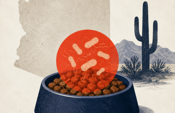 Dog food recall hits Arizona over salmonella risk — Newsr illustration