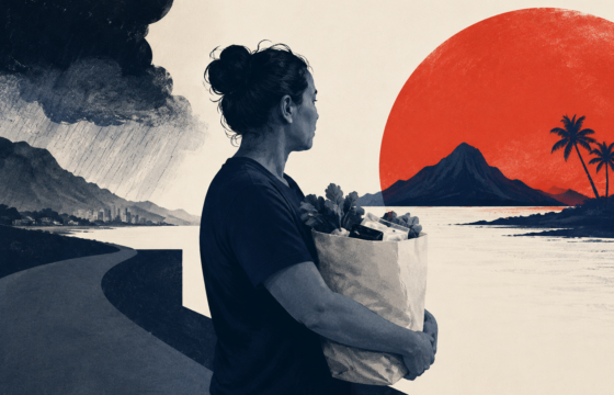 SNAP recipients in Hawaii eligible for food replacement after Lala — Newsr illustration