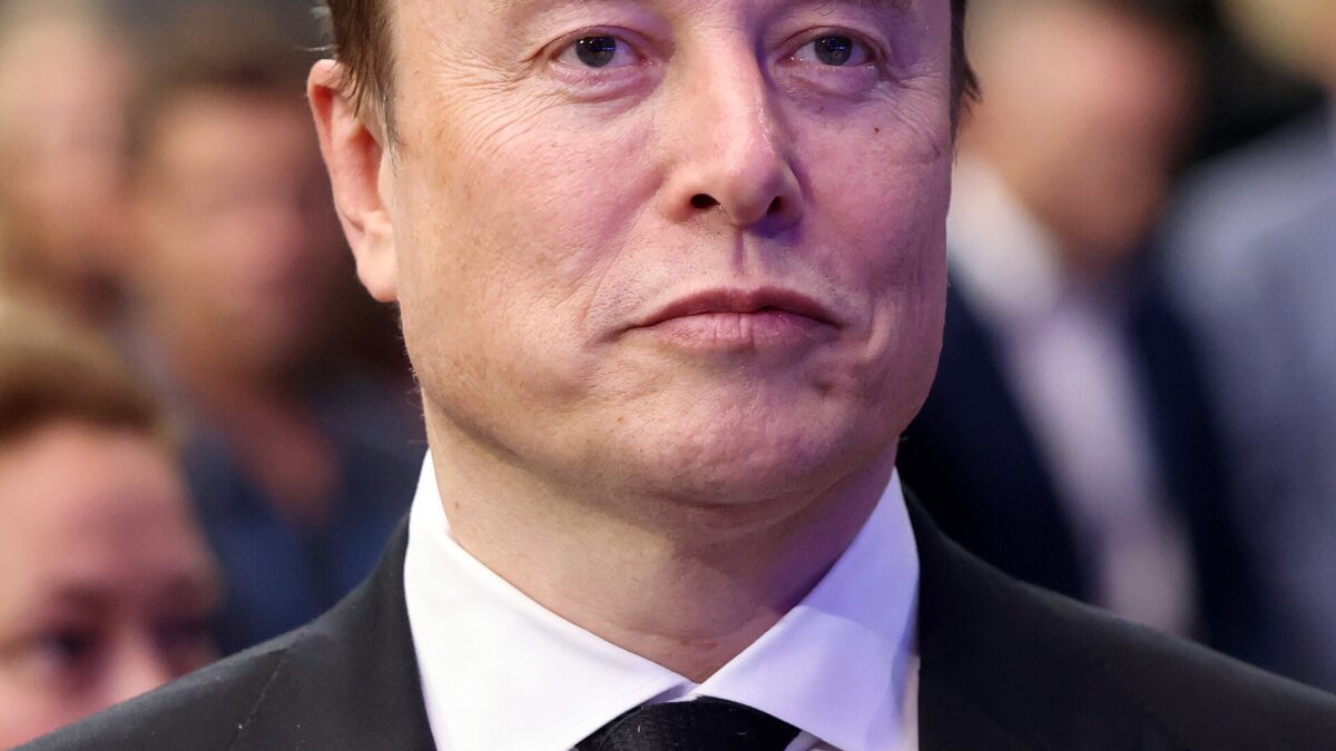 Elon Musk: human profile