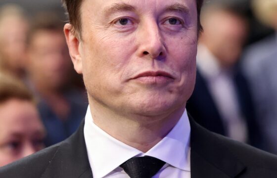 Elon Musk: human profile