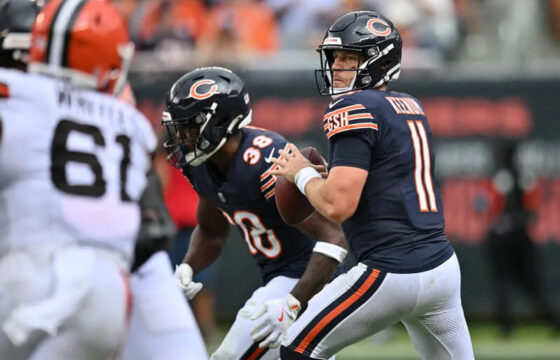 bears vs bengals